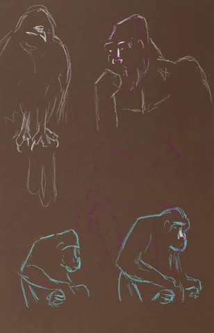Gesture sheet, 5 poses by Riley Adamson