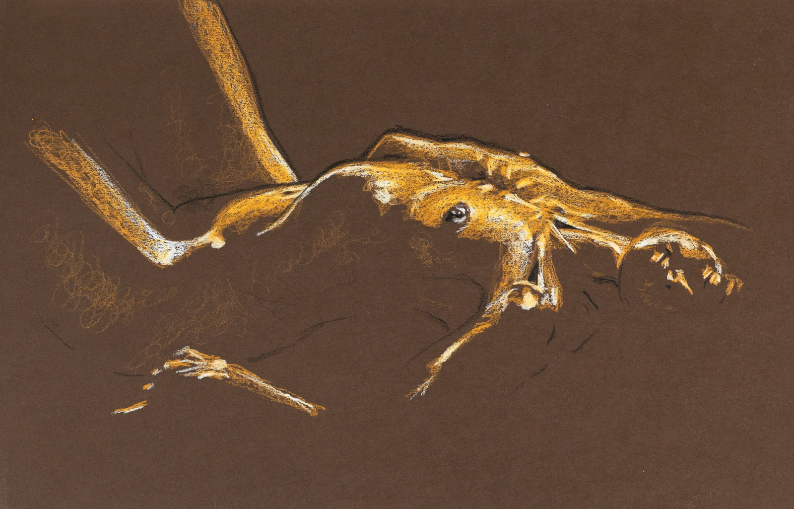 Lying-supine figure, side view by Riley Adamson