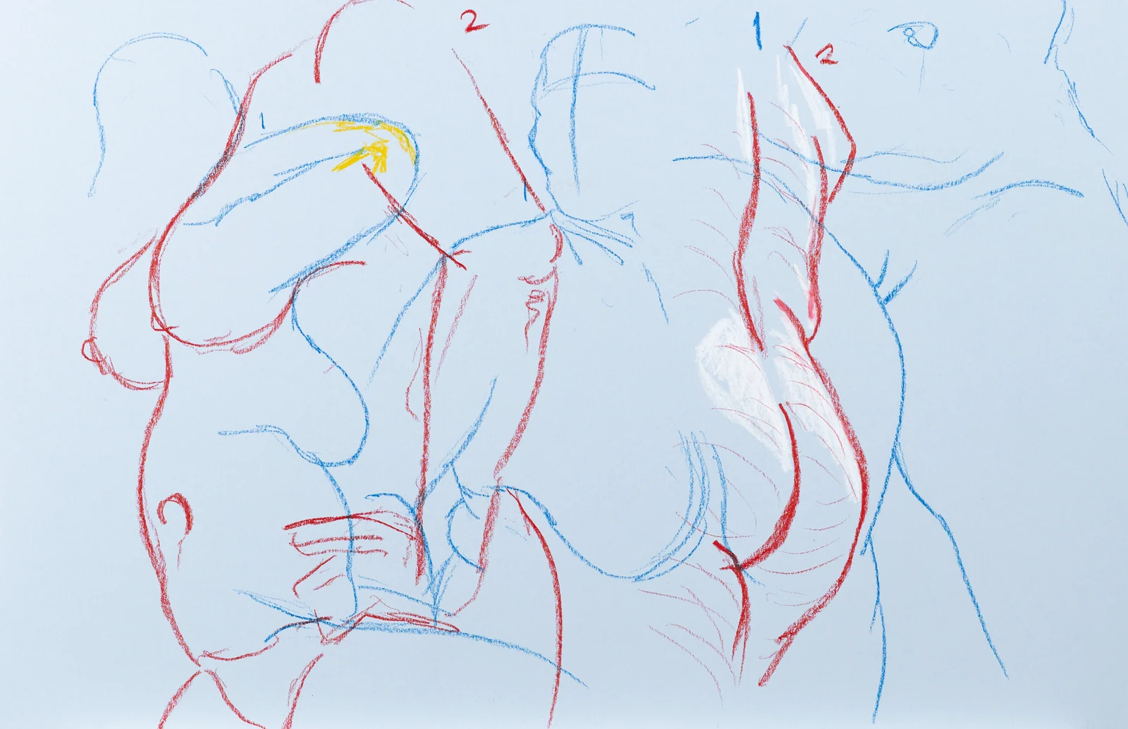 Gesture sheet, 2 poses by Riley Adamson