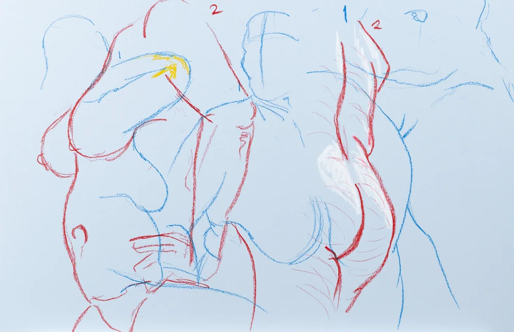 Gesture sheet, 2 poses by Riley Adamson