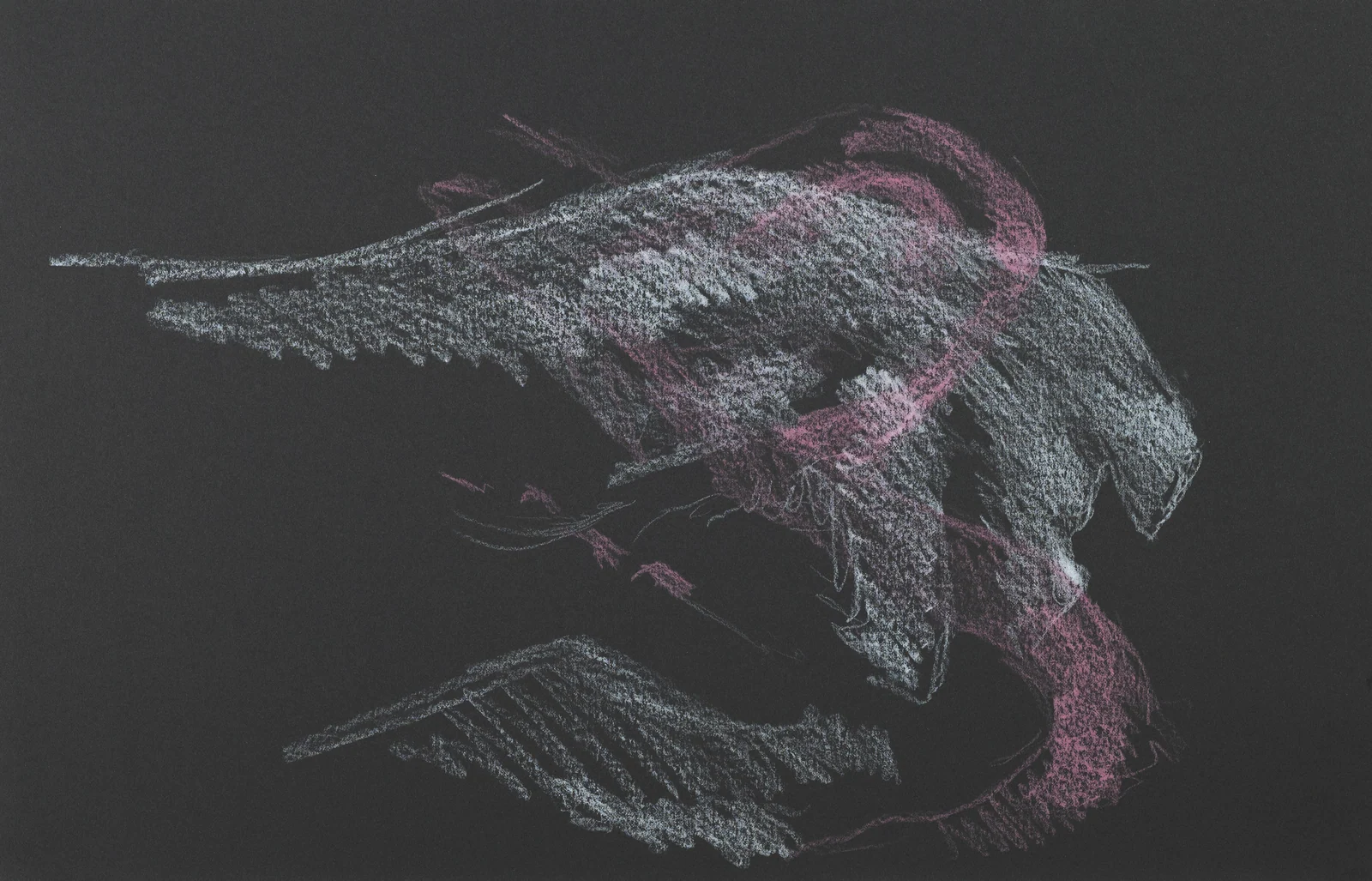 Gesture sheet by Riley Adamson