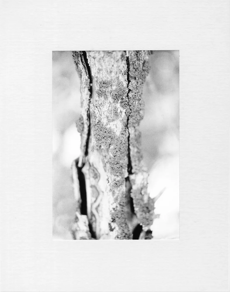 Hike Branch by Riley Adamson