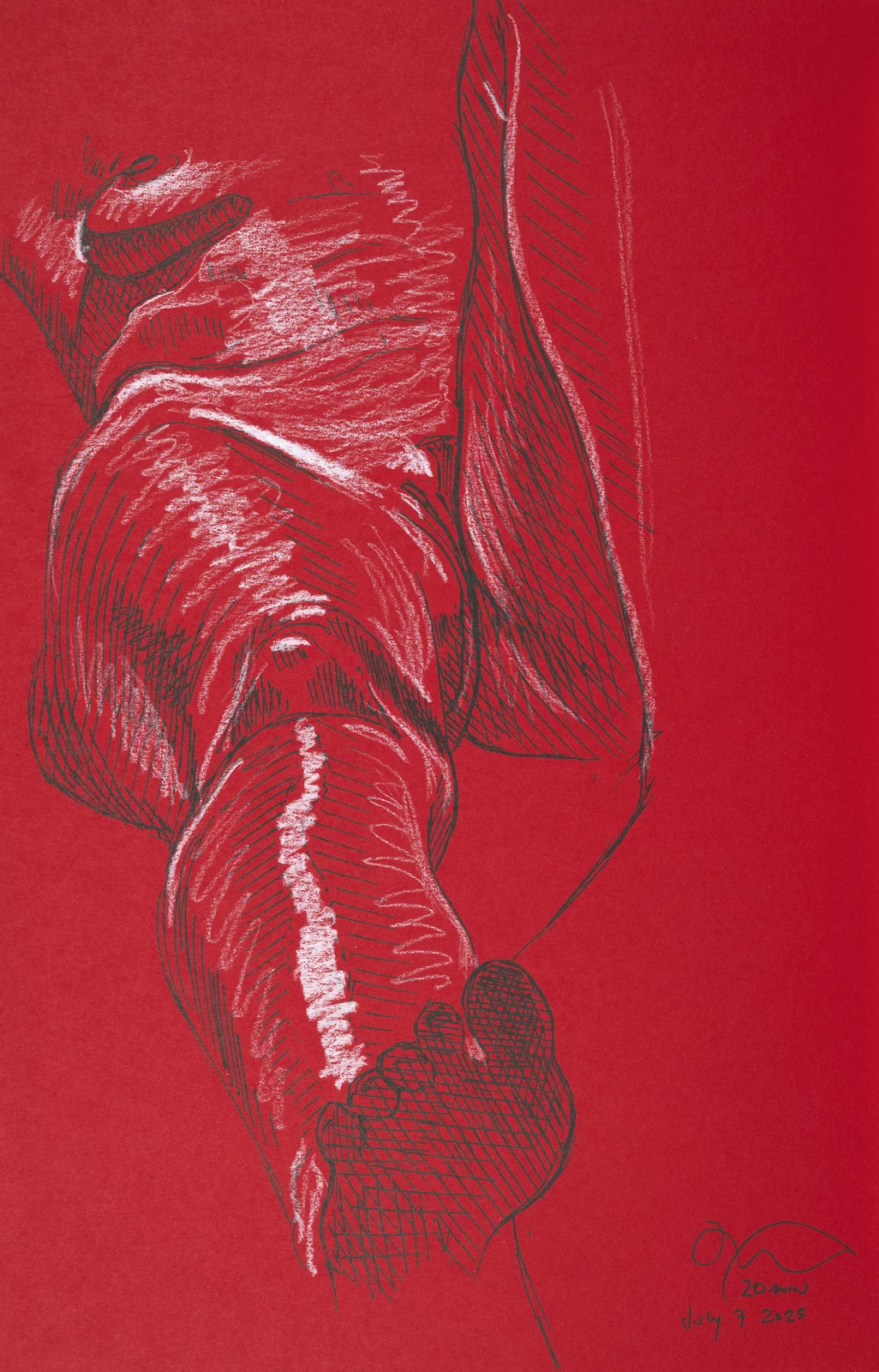 Lying-supine figure, from-below view by Riley Adamson