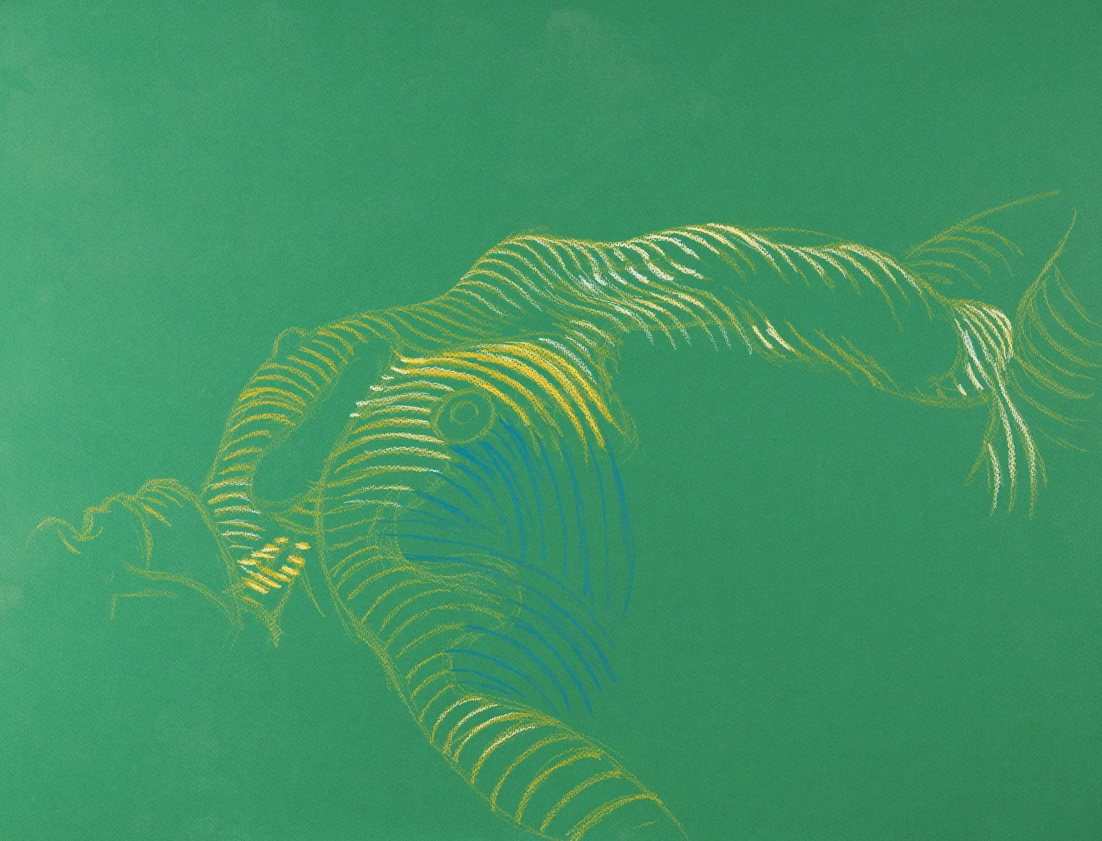 Lying-supine figure, side view by Riley Adamson