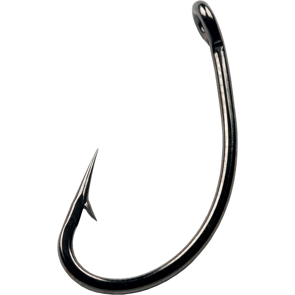Carp 101