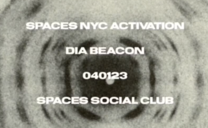 spaces nyc activation: dia beacon