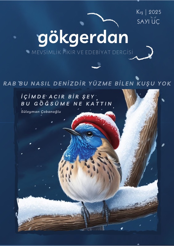 Gökgerdan Sayı 3
