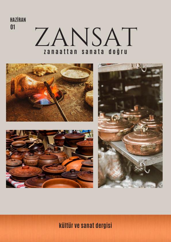 Zansat #1
