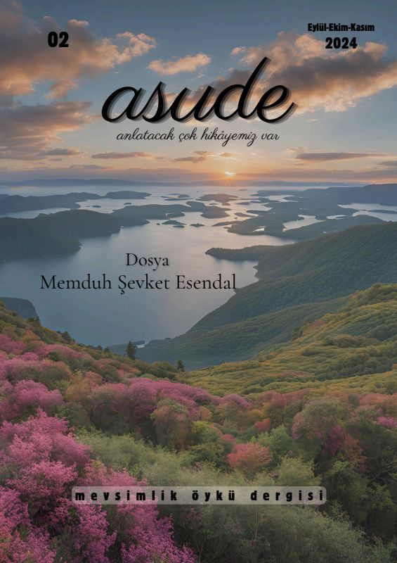 Asude Sayı 2