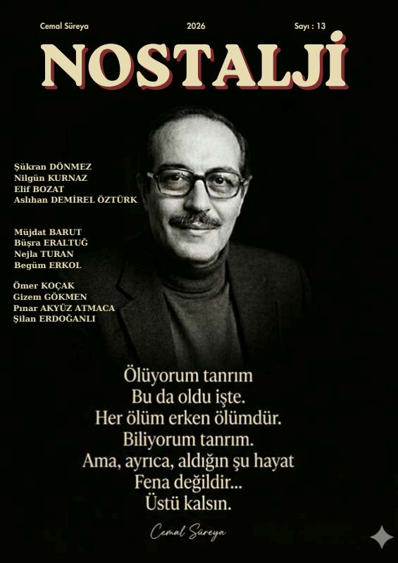 Ausgabe 13