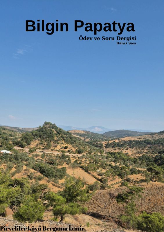 Bilgin Papatya Ausgabe 2