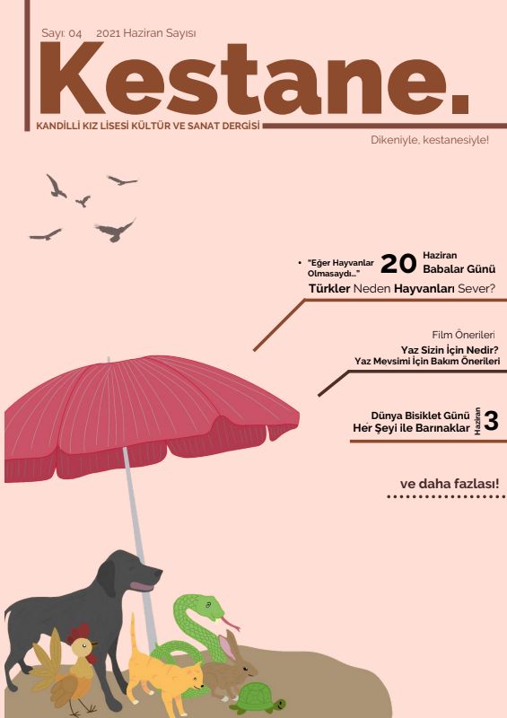 Issue 4