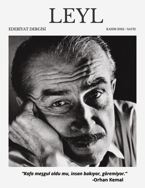 Leyl dergisi kapak görseli