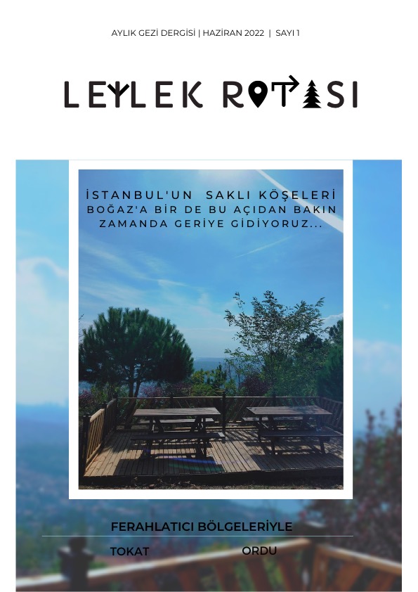 Leylek Rotası cover image