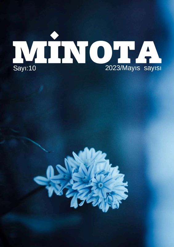 Issue 10