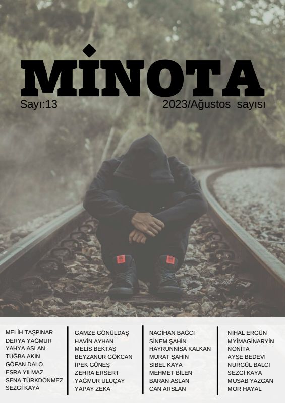 Issue 13