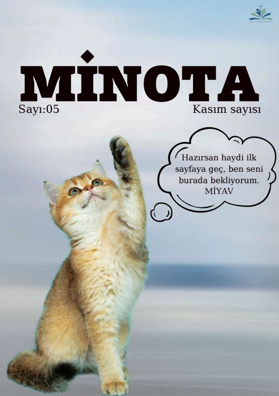 Issue 5