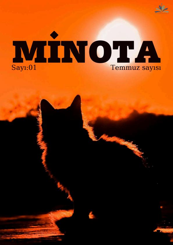 Issue 1
