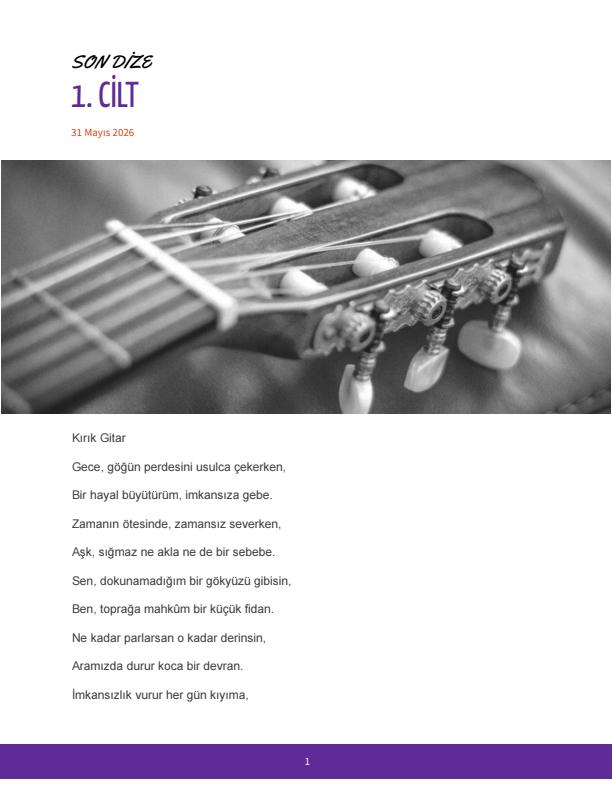Son Dize cover image