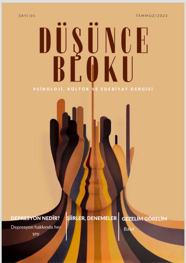 Düşünce Bloku cover image