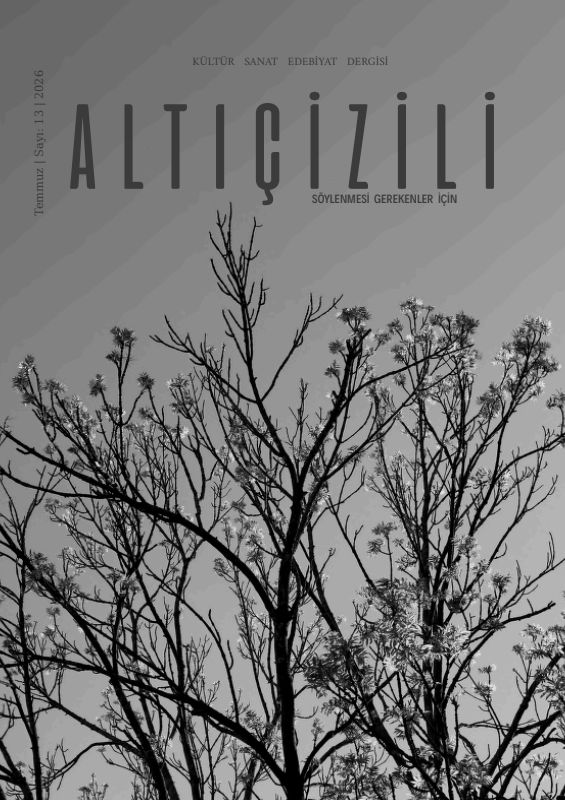 Issue 13