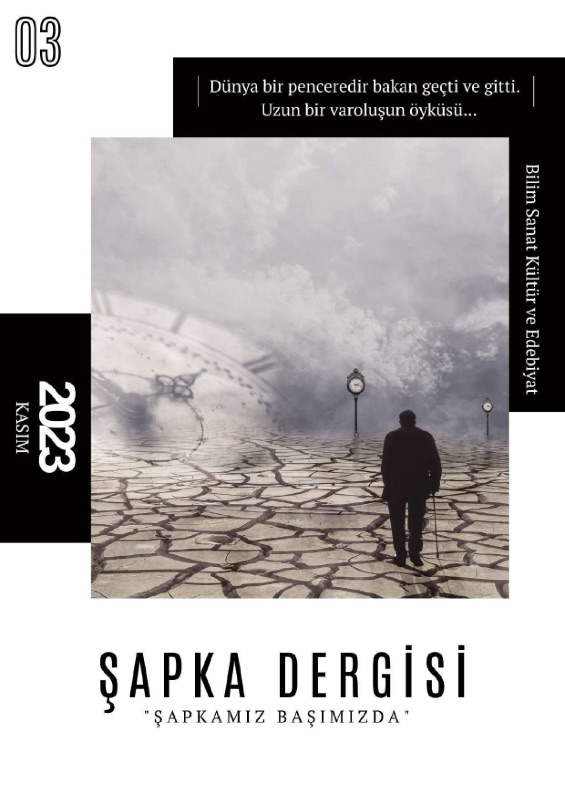 Şapka Sayı 3