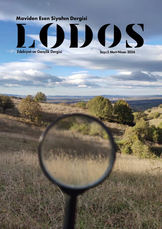 Lodos Issue 5
