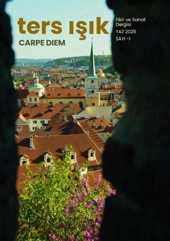 Issue 1