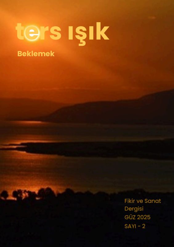 Issue 2