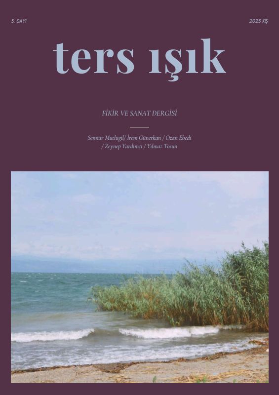Issue 3