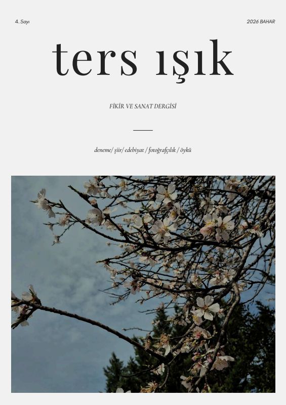 Ters Işık cover image