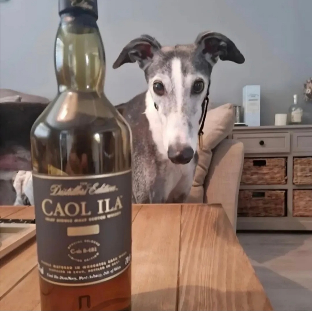 Caol Ila Distillers Edition 2021 Release
