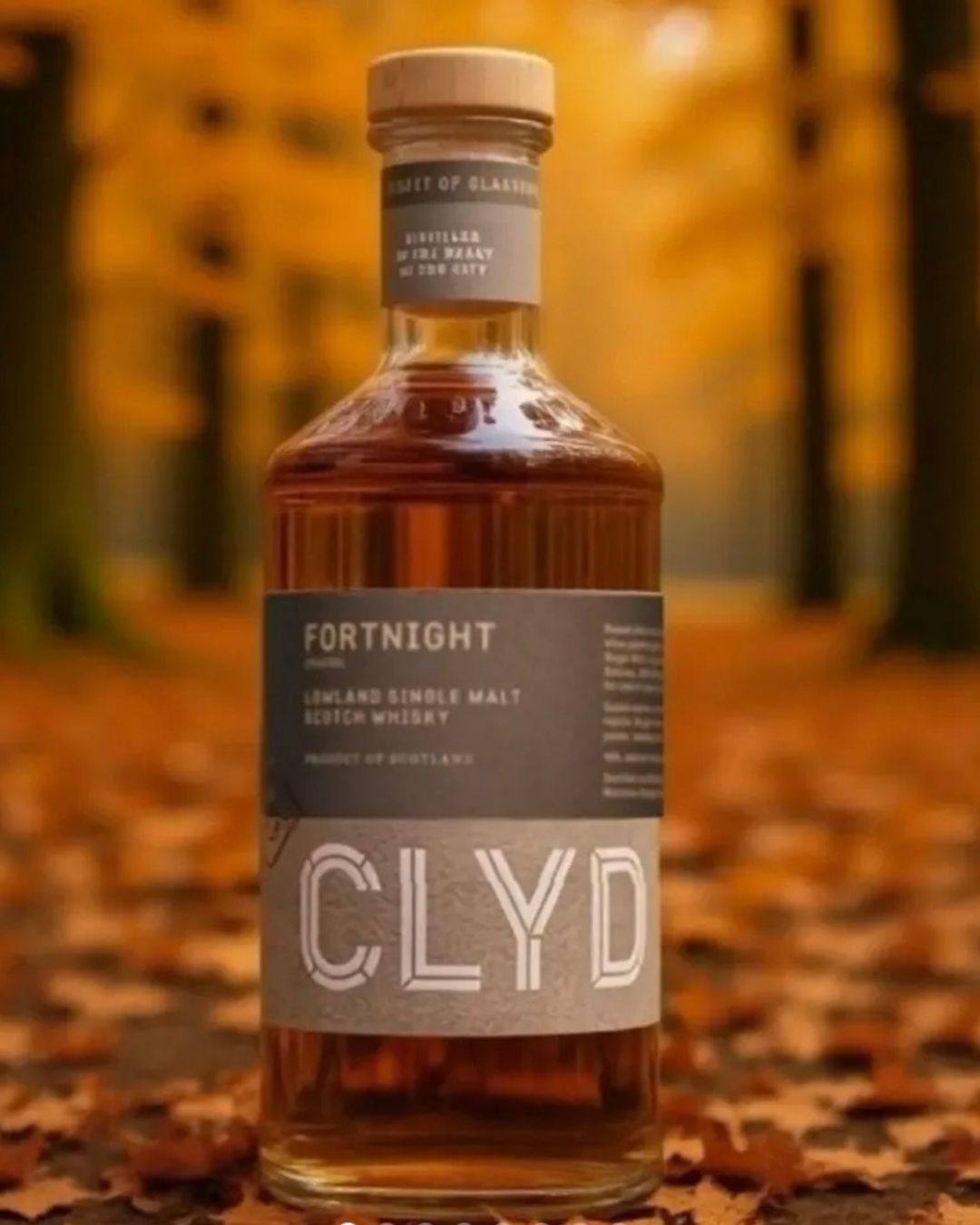 Fortnight by Clydeside