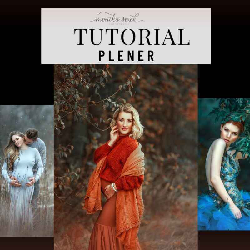 Tutorial Plener I
