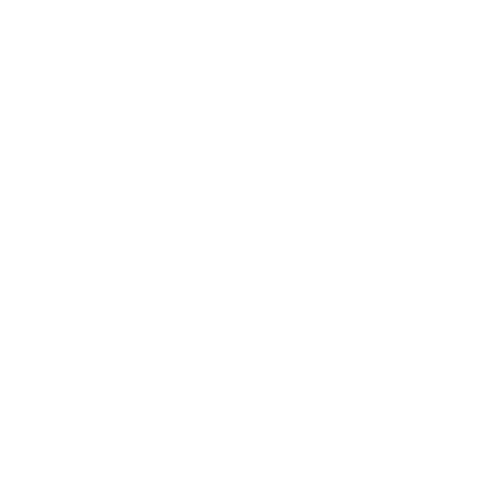 Plaform logo