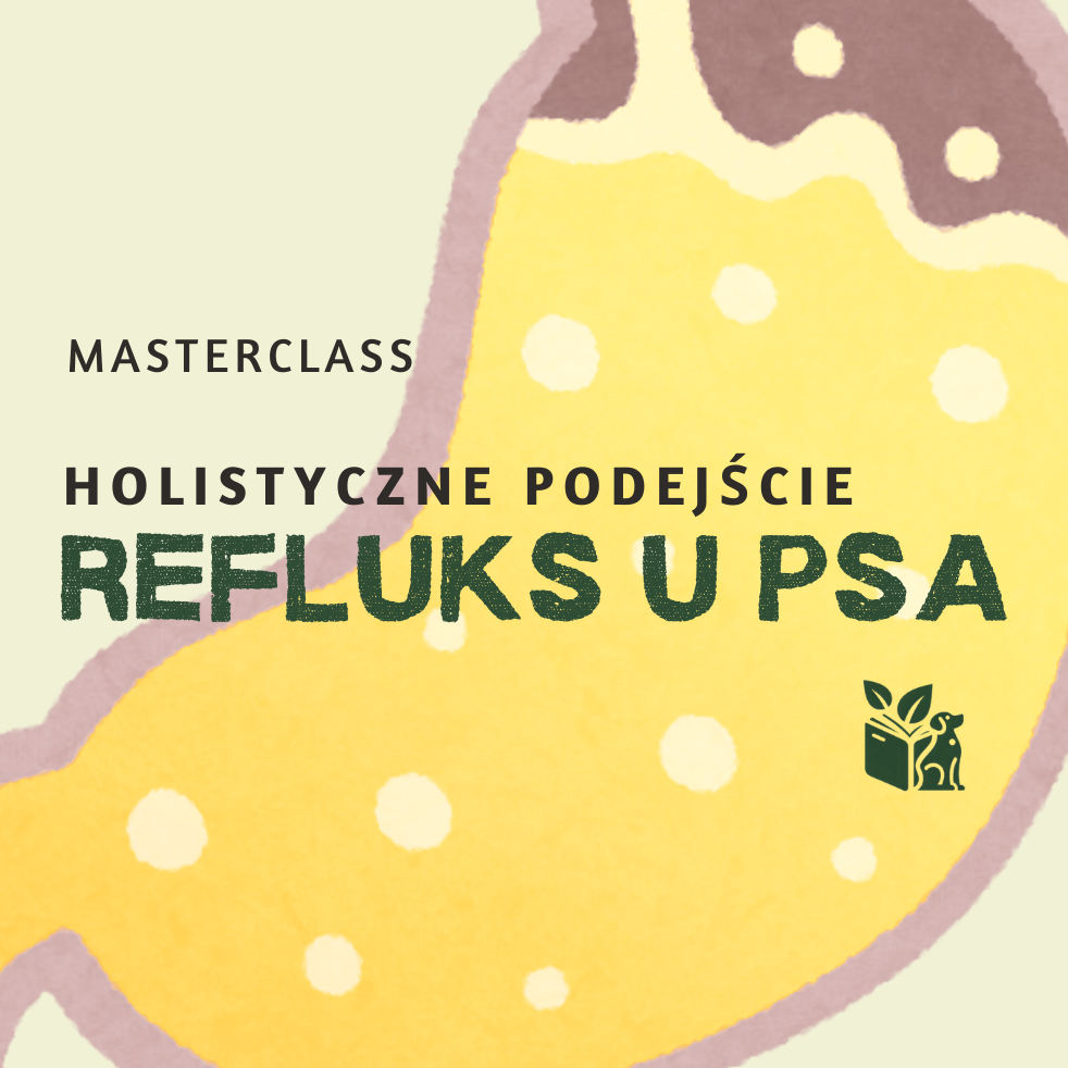 MASTERCLASS: Pokonaj refluks u psa - holistycznie!