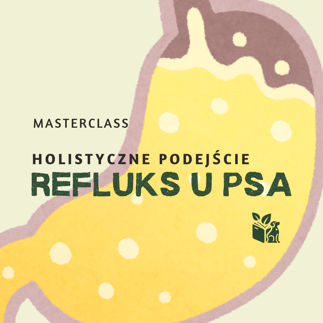 MASTERCLASS: Pokonaj refluks u psa