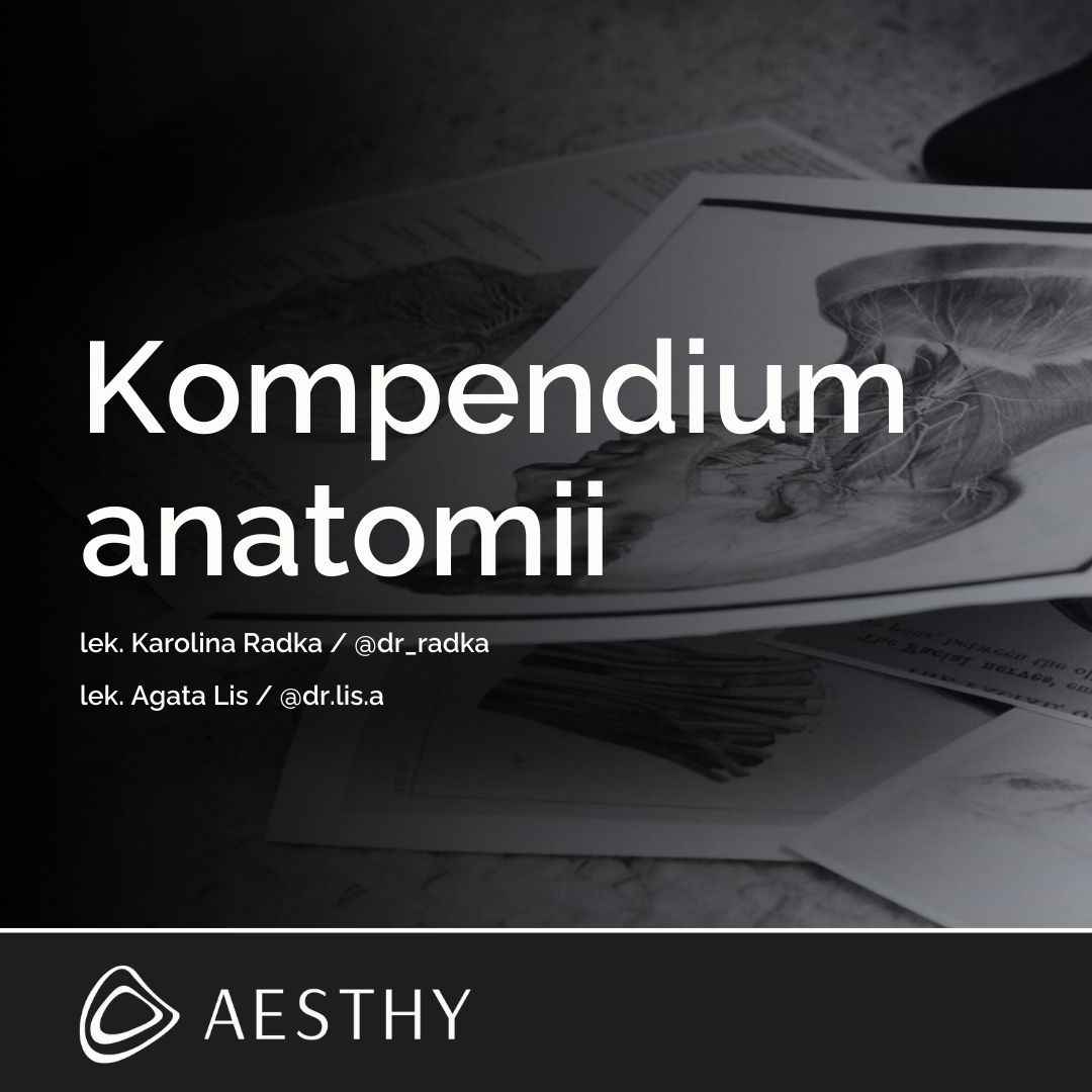 Kompendium Anatomii