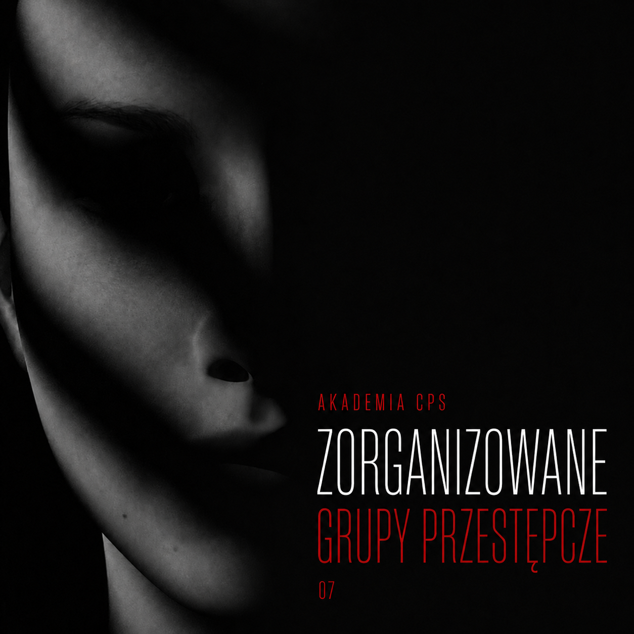 Kryminologia — Zorganizowane grupy przestępcze