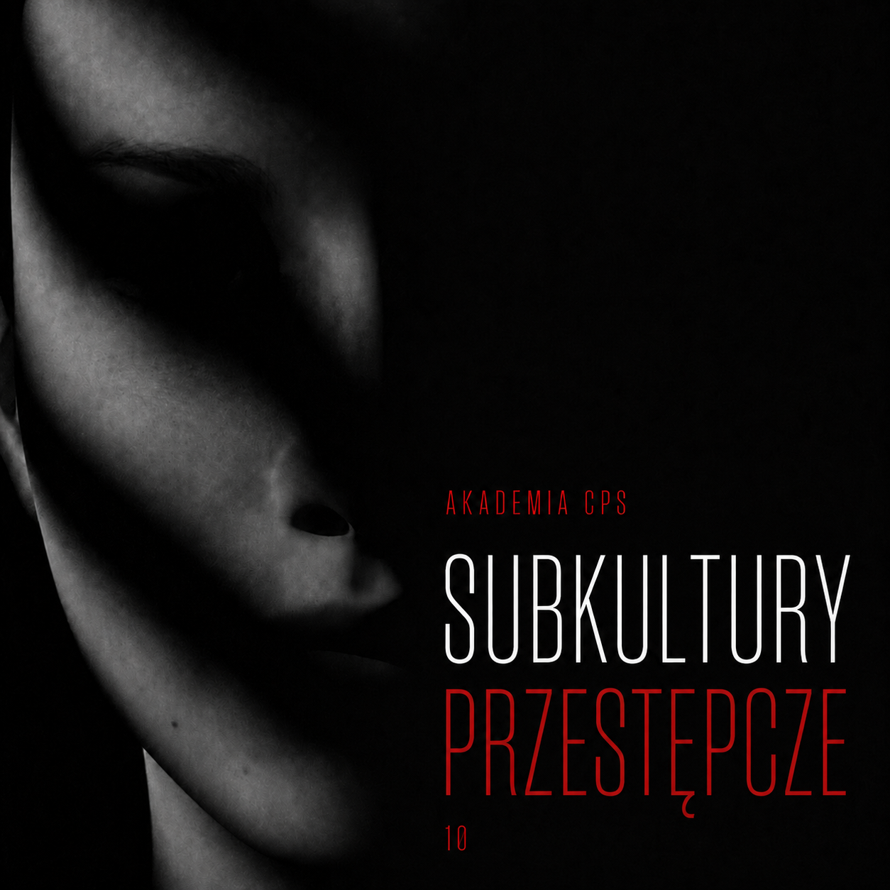 Kryminologia – Subkultury przestępcze