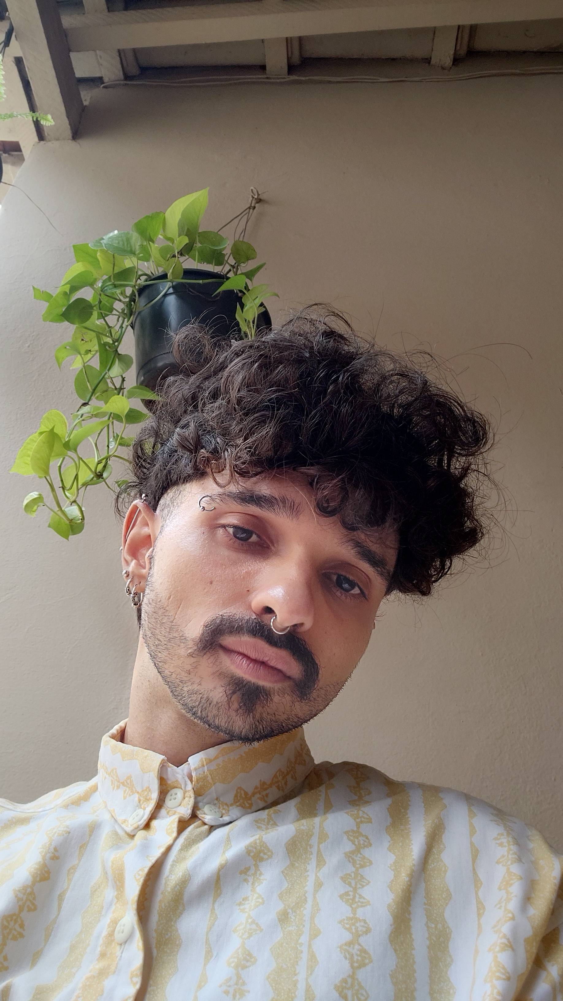 Natan Gonçalves's profile picture