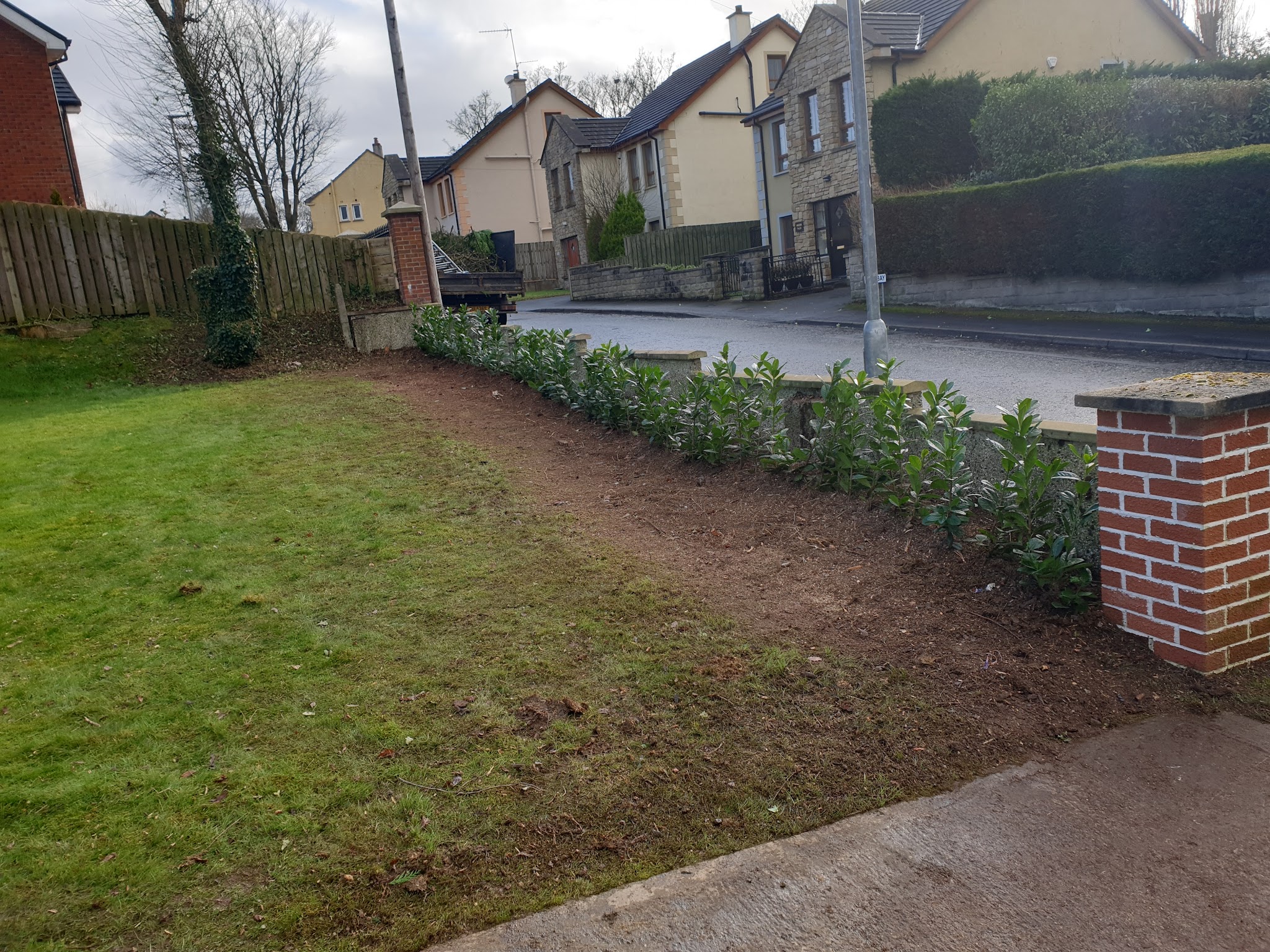 Plant A Seed Landscapes