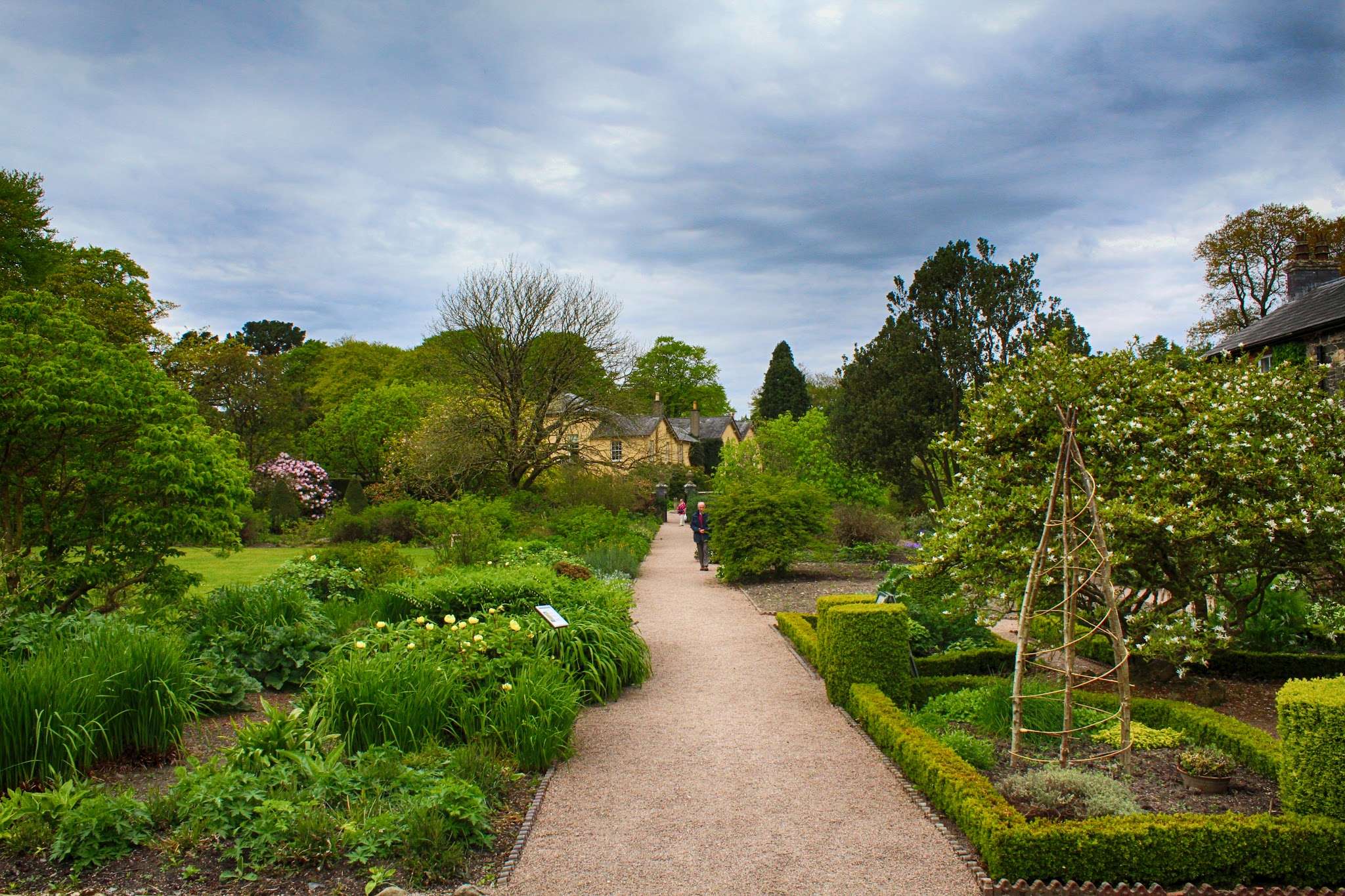 National Trust - Rowallane Garden