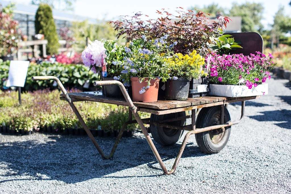 Greenbank Landscapes & Nurseries