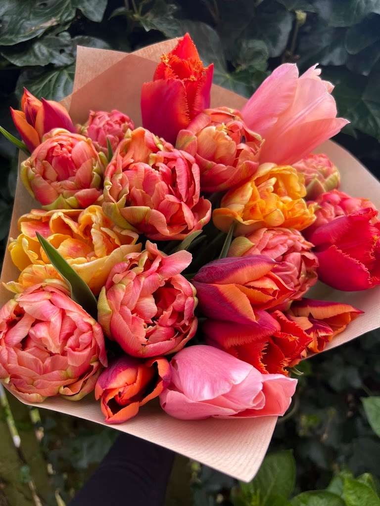 Mrs Bloom