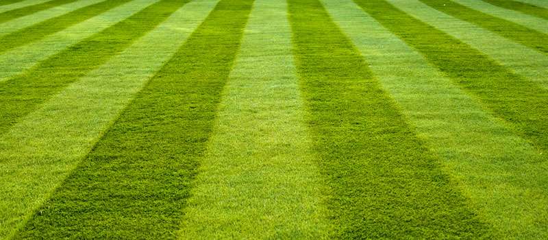 Tidy Gardens