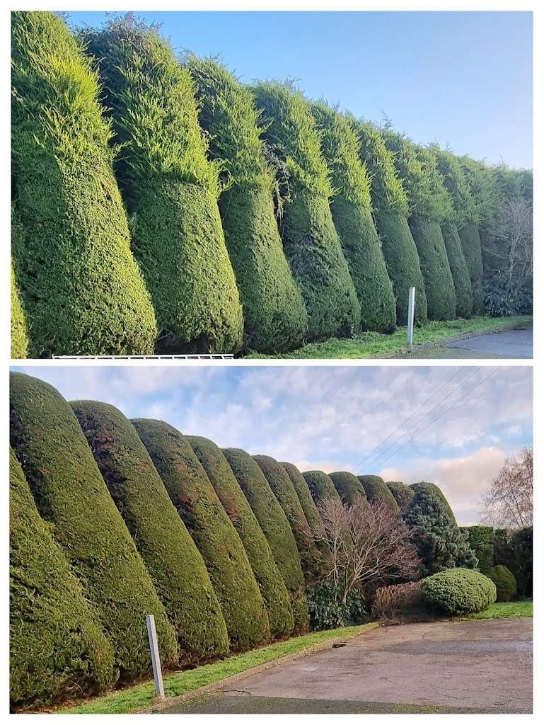 RL Garden & Landscaping Services
