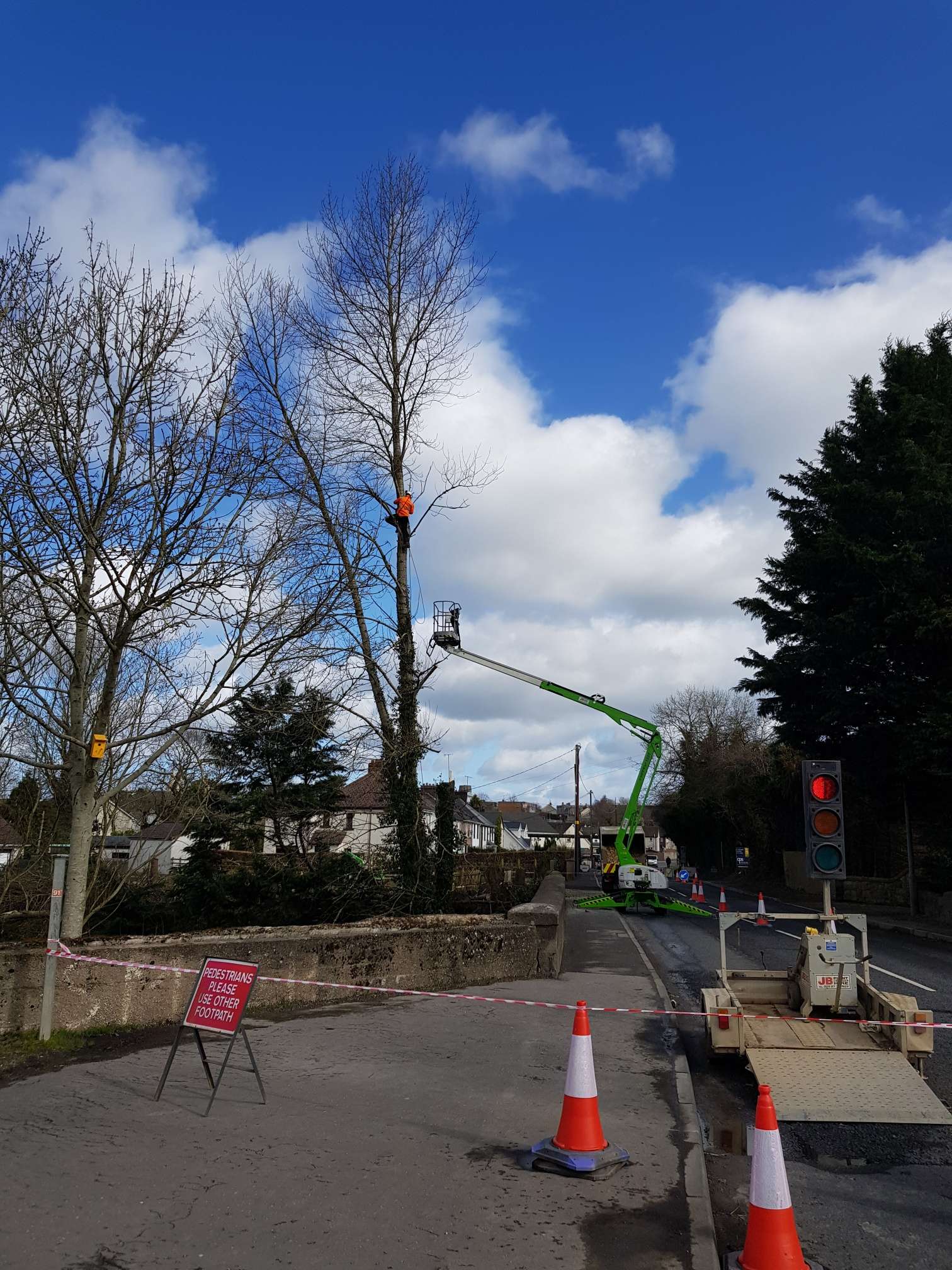 TGS Landscapes and Tree Surgery