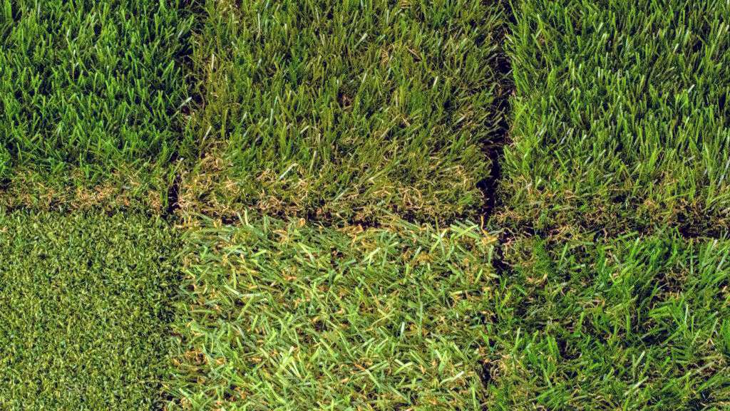 Eden - Commercial & Domestic Landscaping