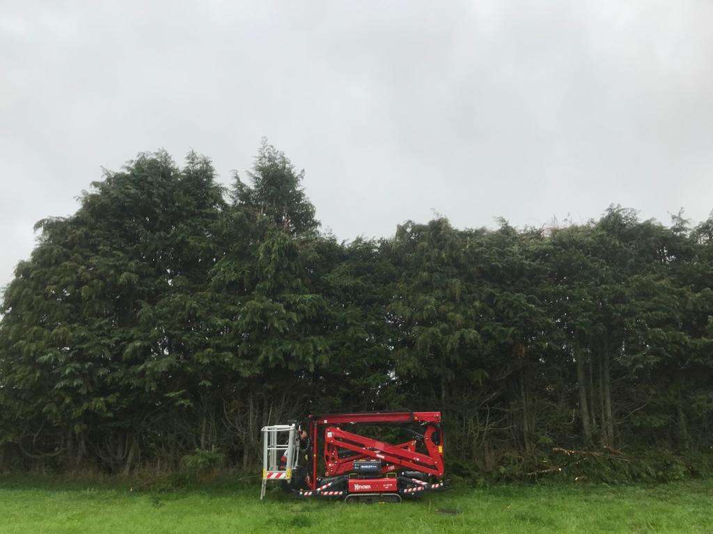 The Gardner & Maintenance